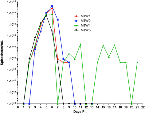 Fig. 8