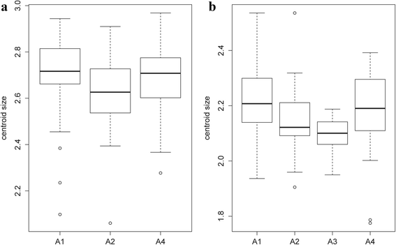 Fig. 12