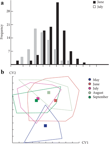 Fig. 6