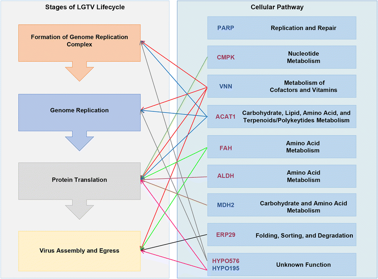 Fig. 4