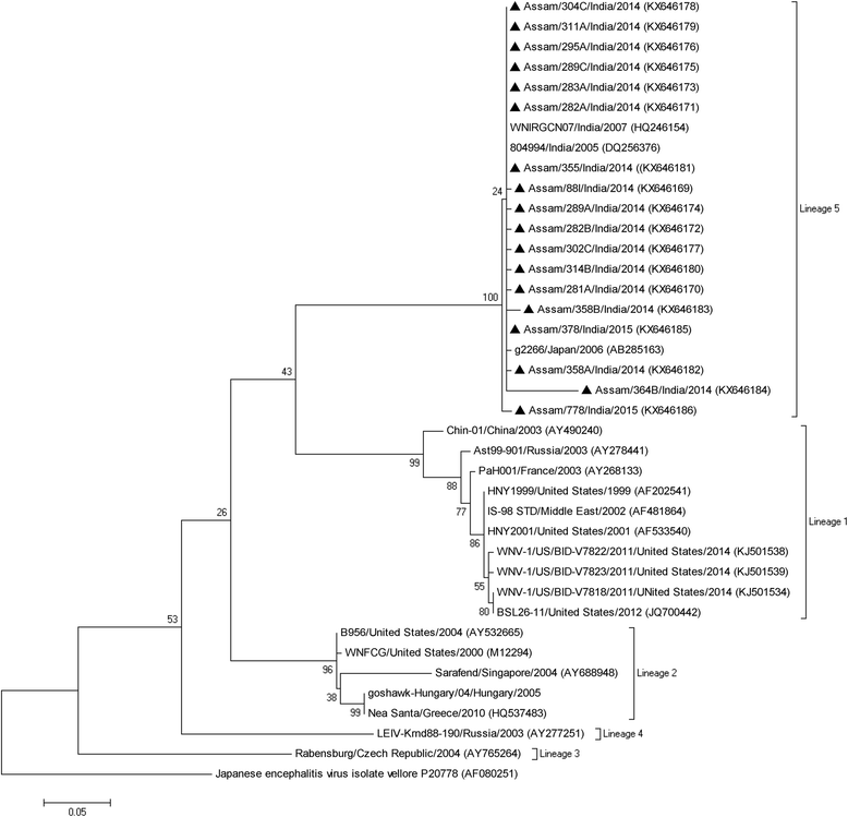 Fig. 2