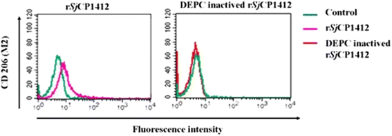 Fig. 13