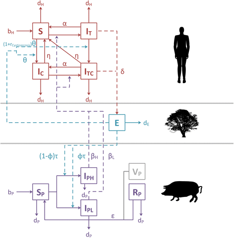 Fig. 1