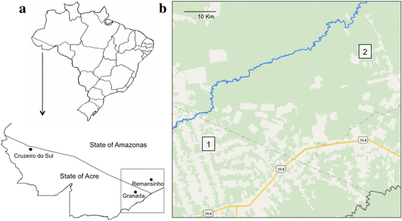 Fig. 1