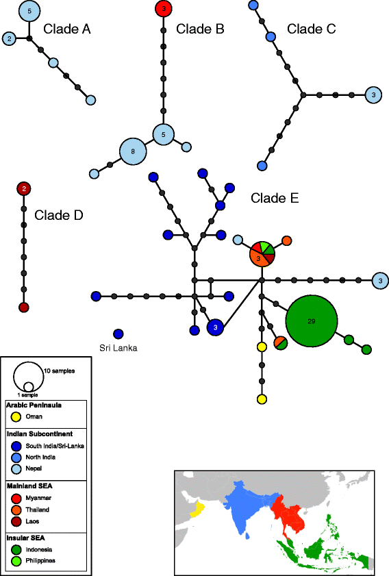 Fig. 3