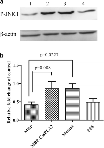 Fig. 9