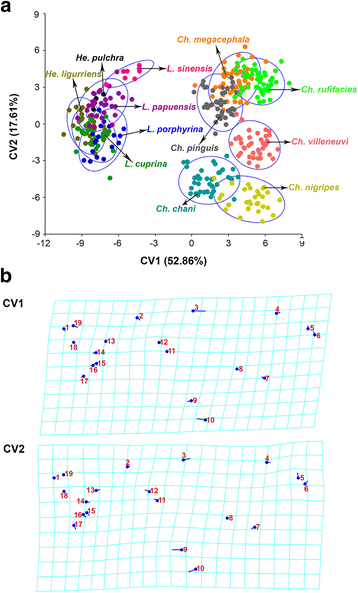 Fig. 6