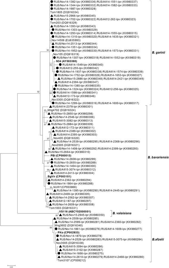 Fig. 5