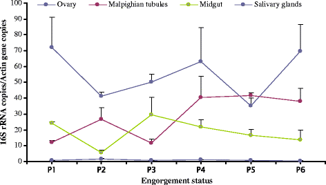 Fig. 6