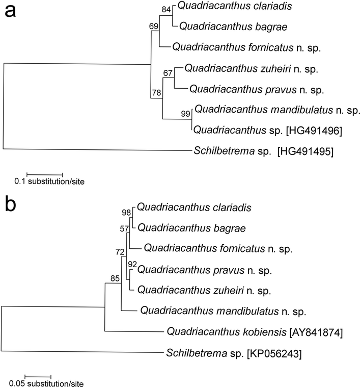 Fig. 10