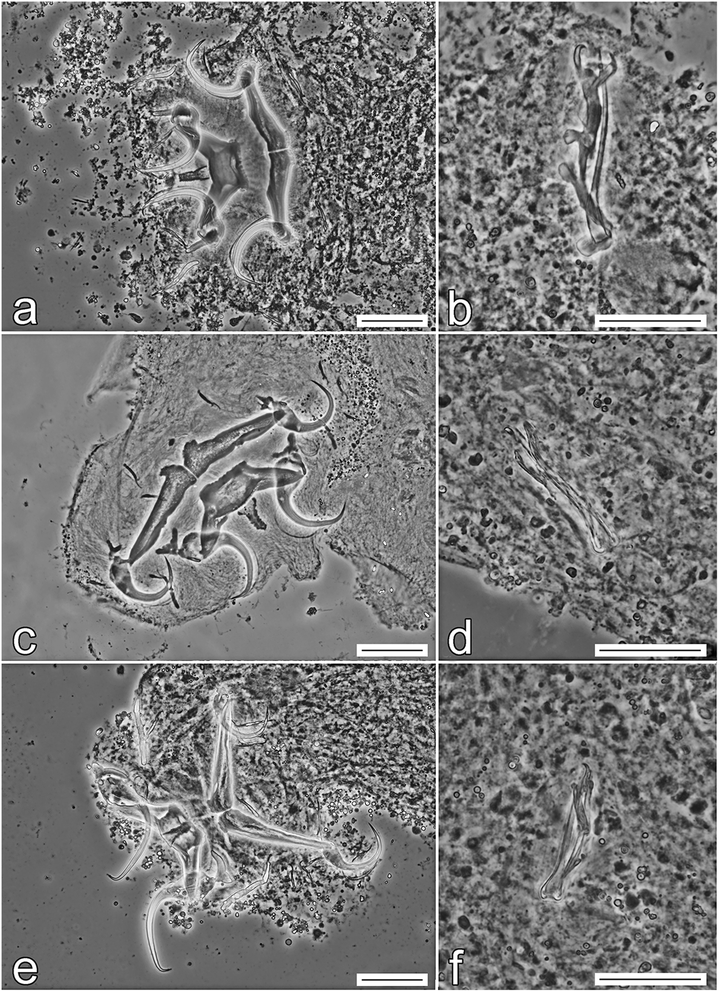 Fig. 11