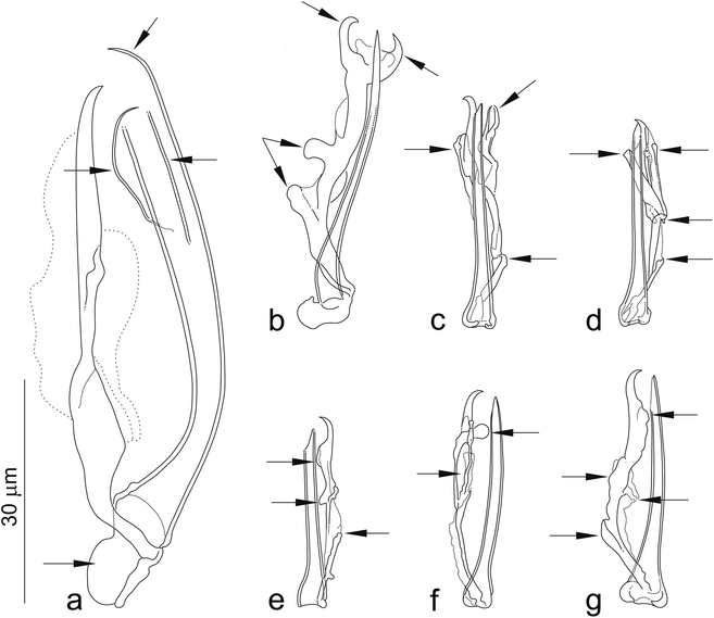 Fig. 13