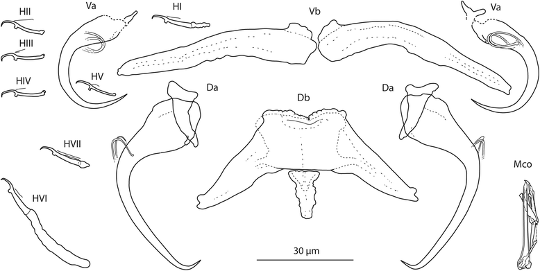 Fig. 5