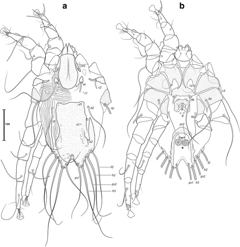 Fig. 13