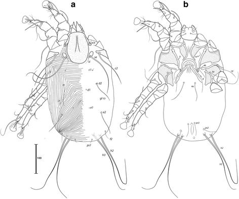 Fig. 14