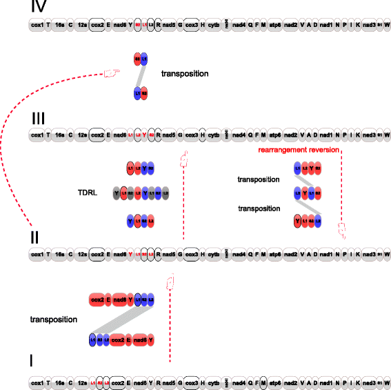 Fig. 4