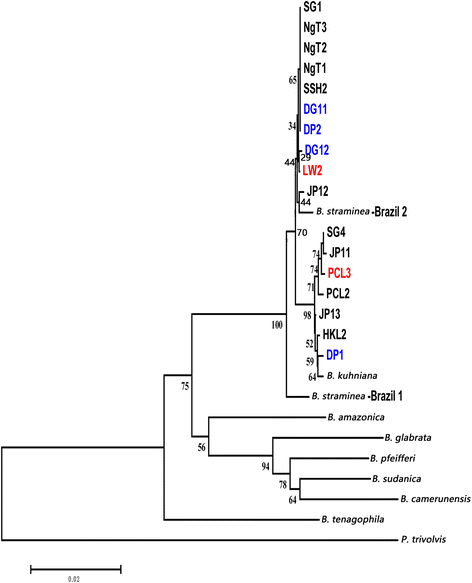 Fig. 8