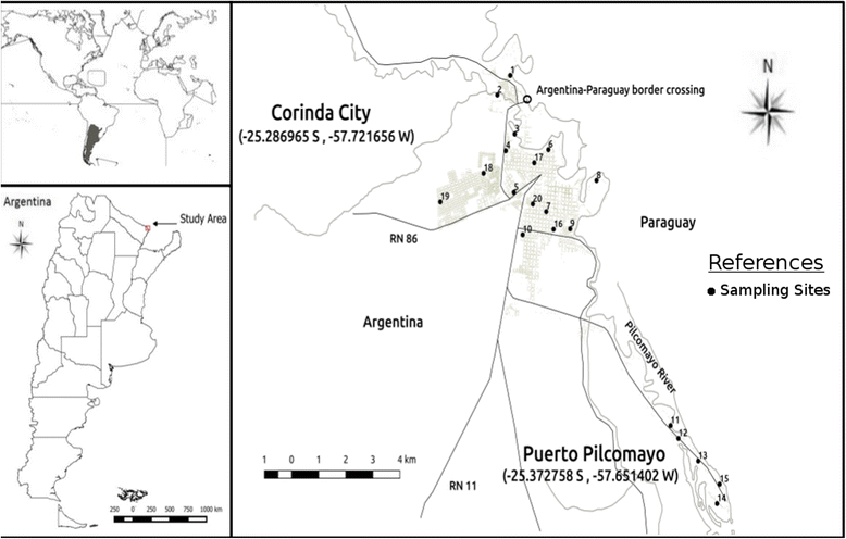 Fig. 1