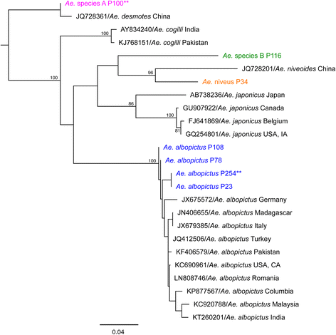 Fig. 4