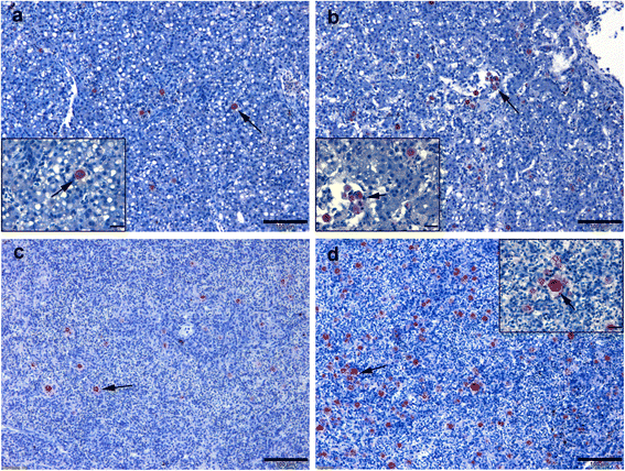 Fig. 8