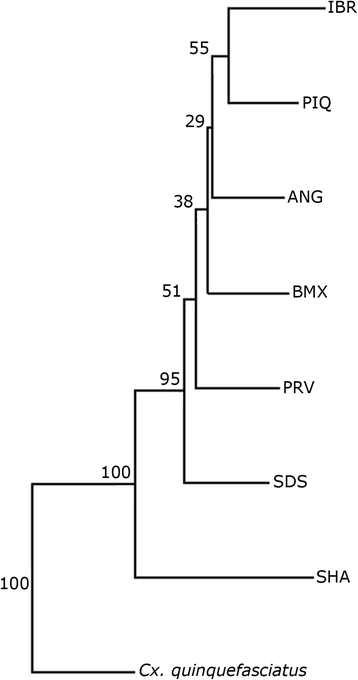 Fig. 5