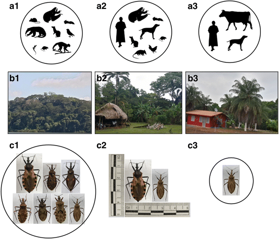 Fig. 1