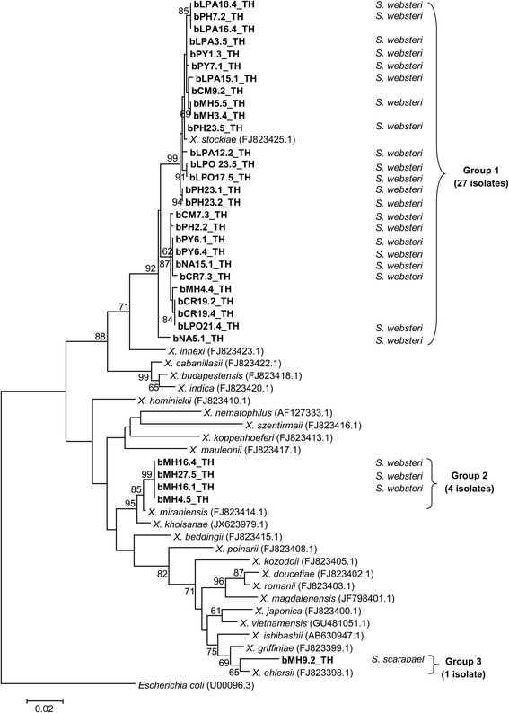 Fig. 1