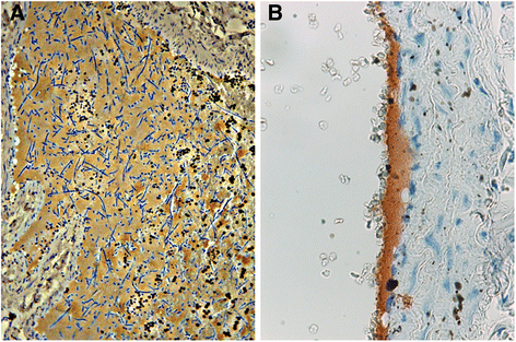 Fig. 5