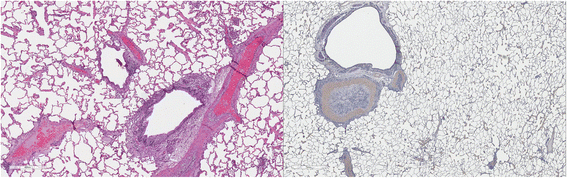 Fig. 27