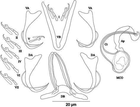 Fig. 10