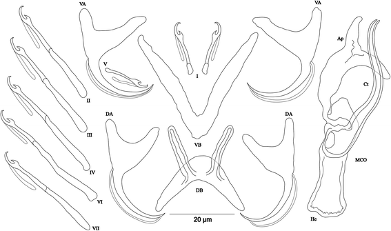 Fig. 9