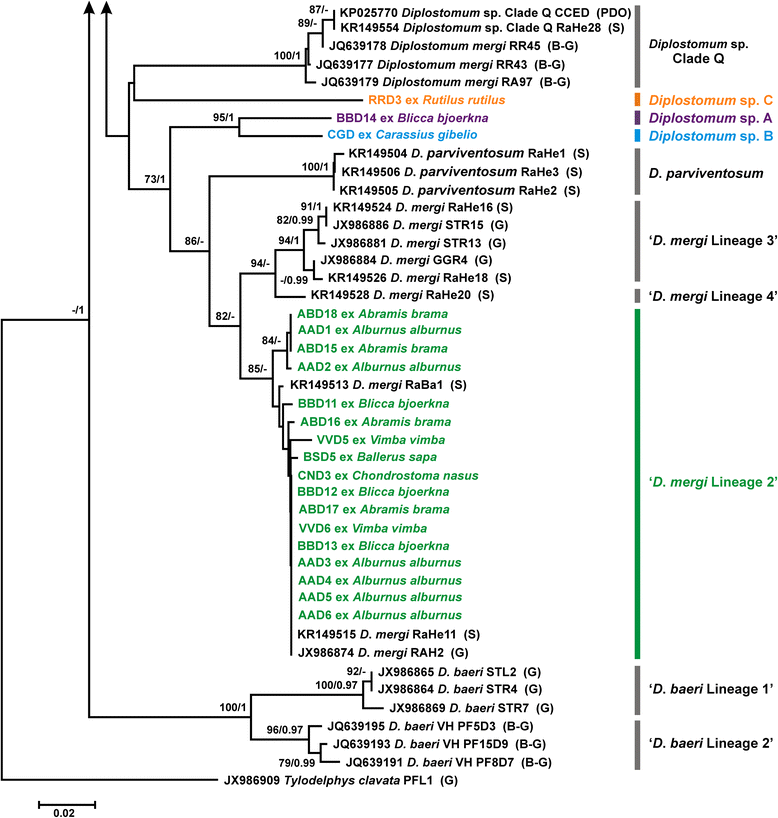 Fig. 2