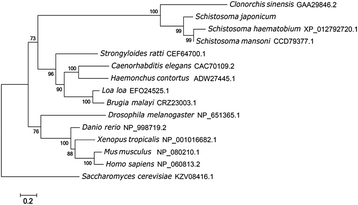 Fig. 3