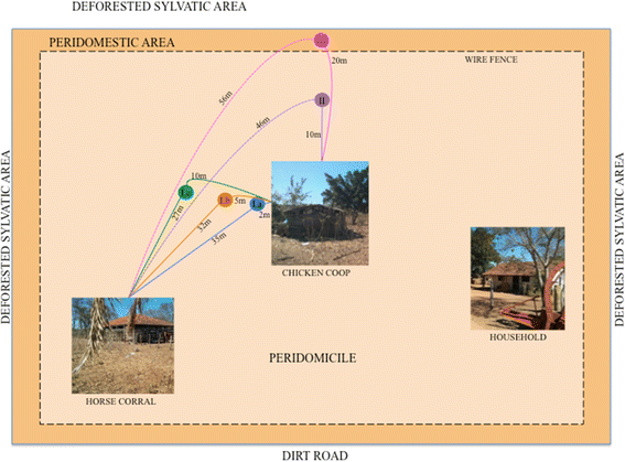 Fig. 3