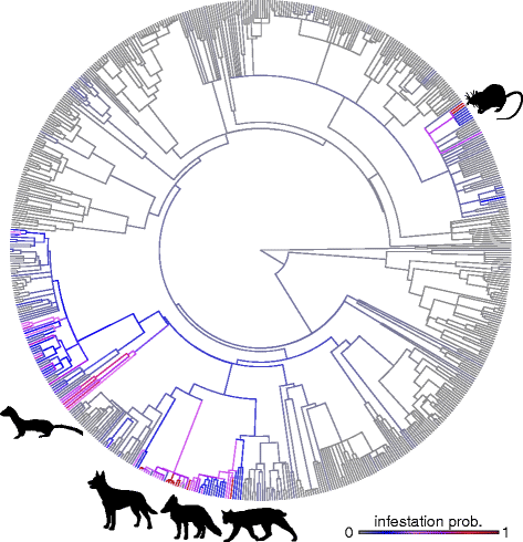 Fig. 3