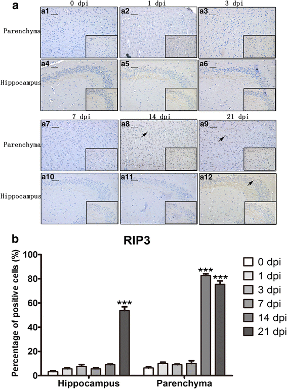 Fig. 10