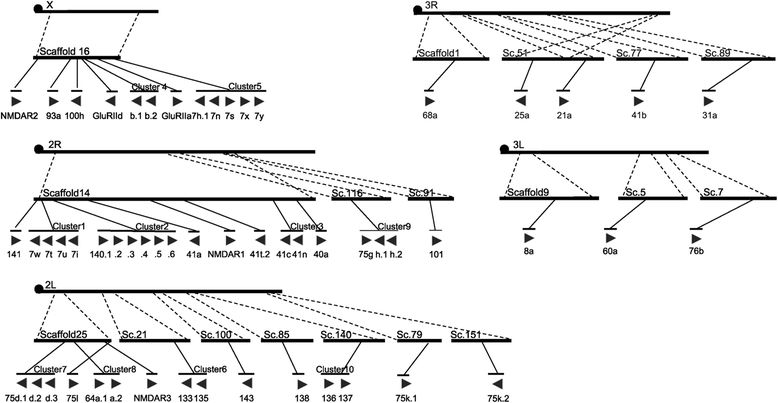 Fig. 2