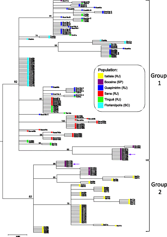 Fig. 2