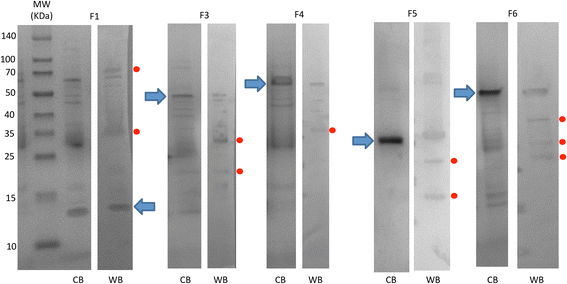 Fig. 5