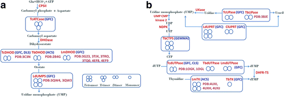 Fig. 2