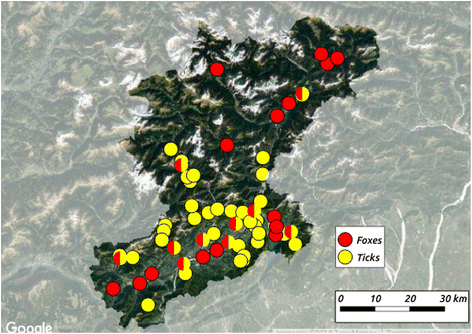 Fig. 1