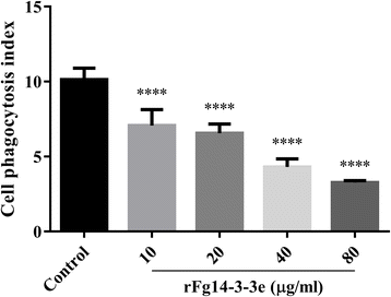 Fig. 8