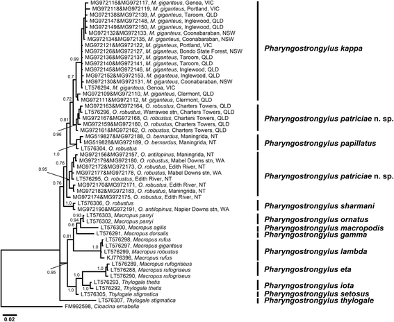 Fig. 7