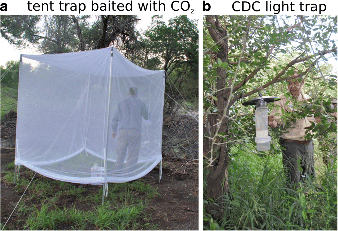 Mosquito Community Composition In South Africa And Some Neighboring - fig 2