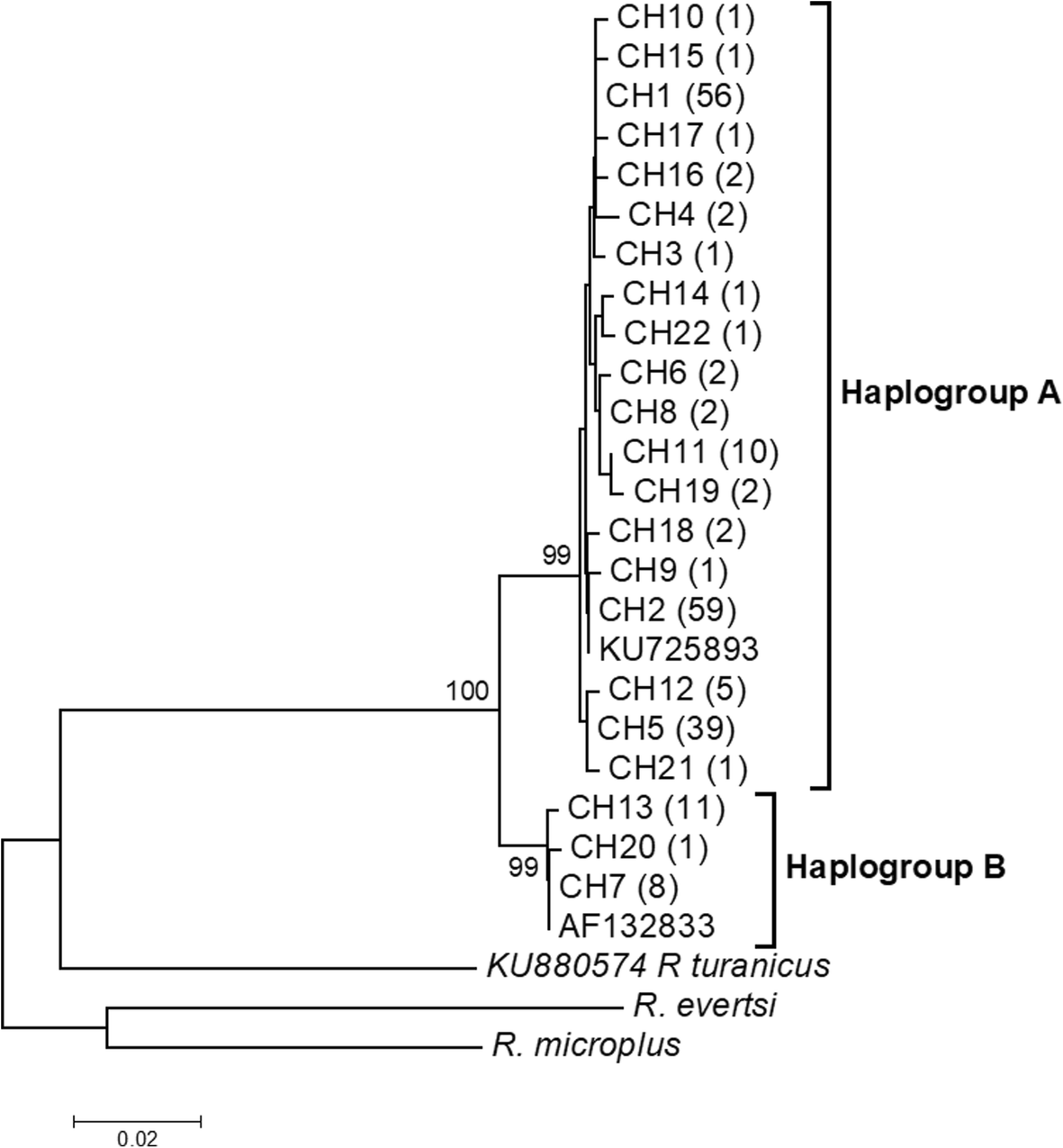 Fig. 2