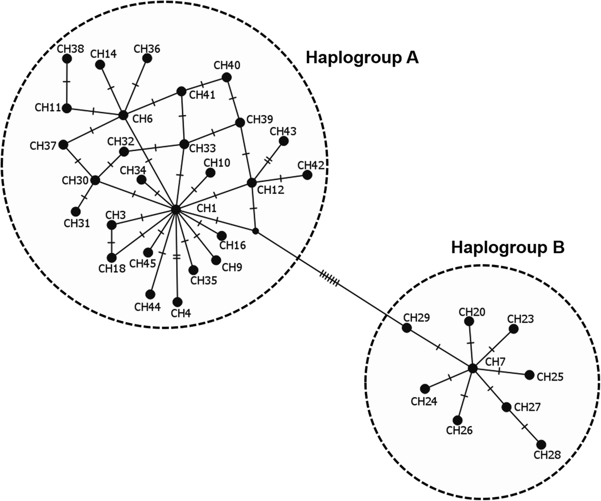 Fig. 4