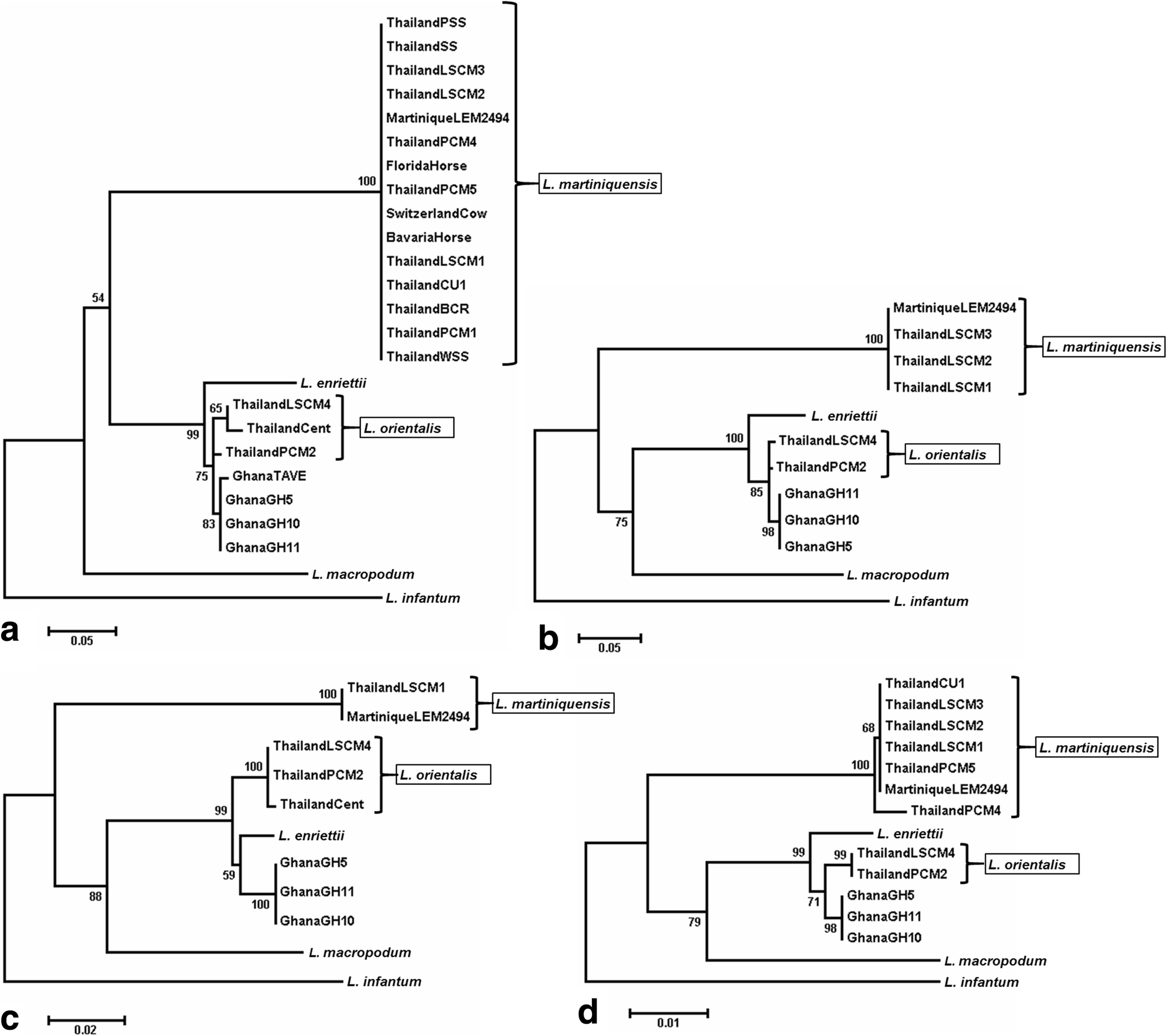 Fig. 4