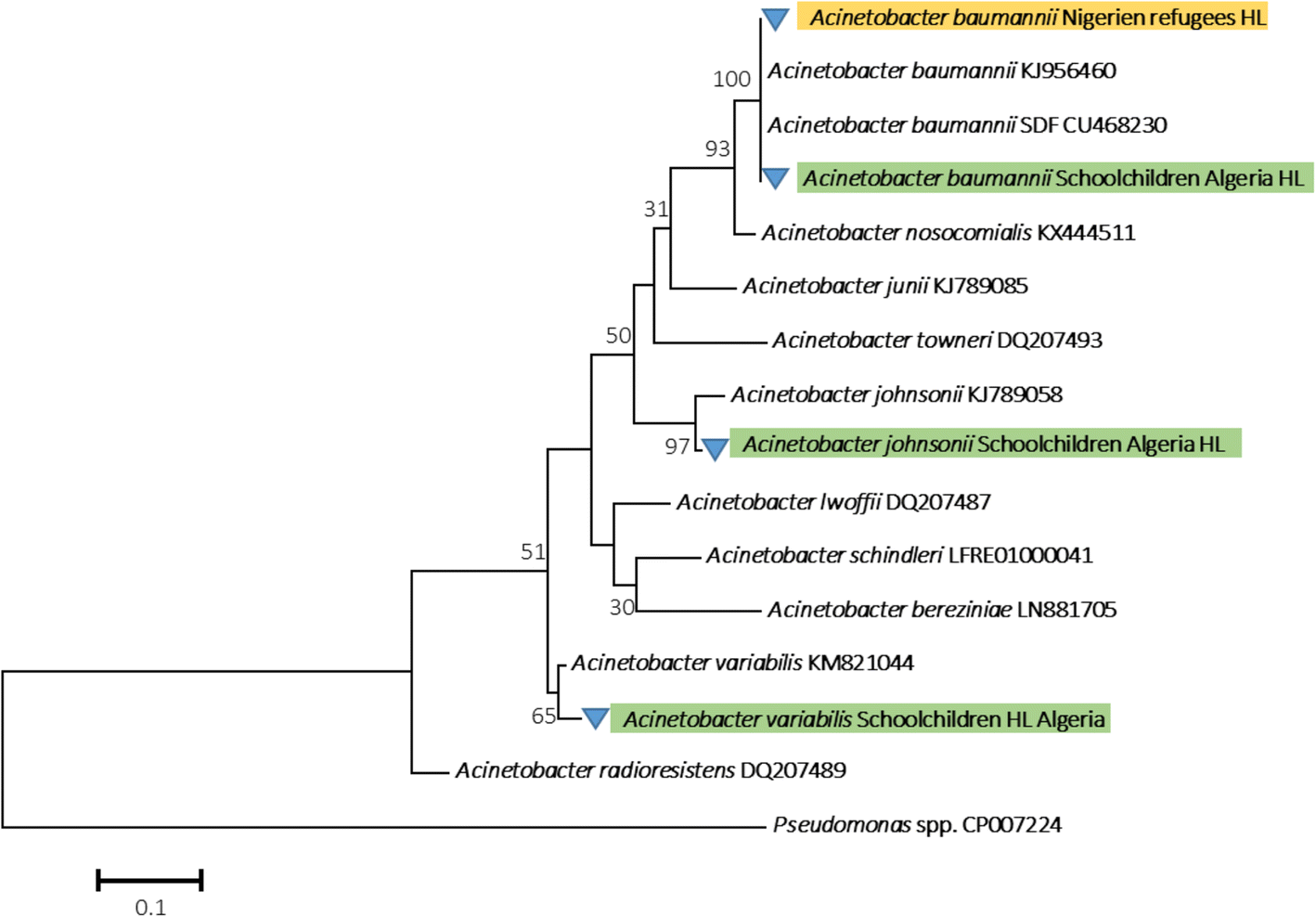 Fig. 4