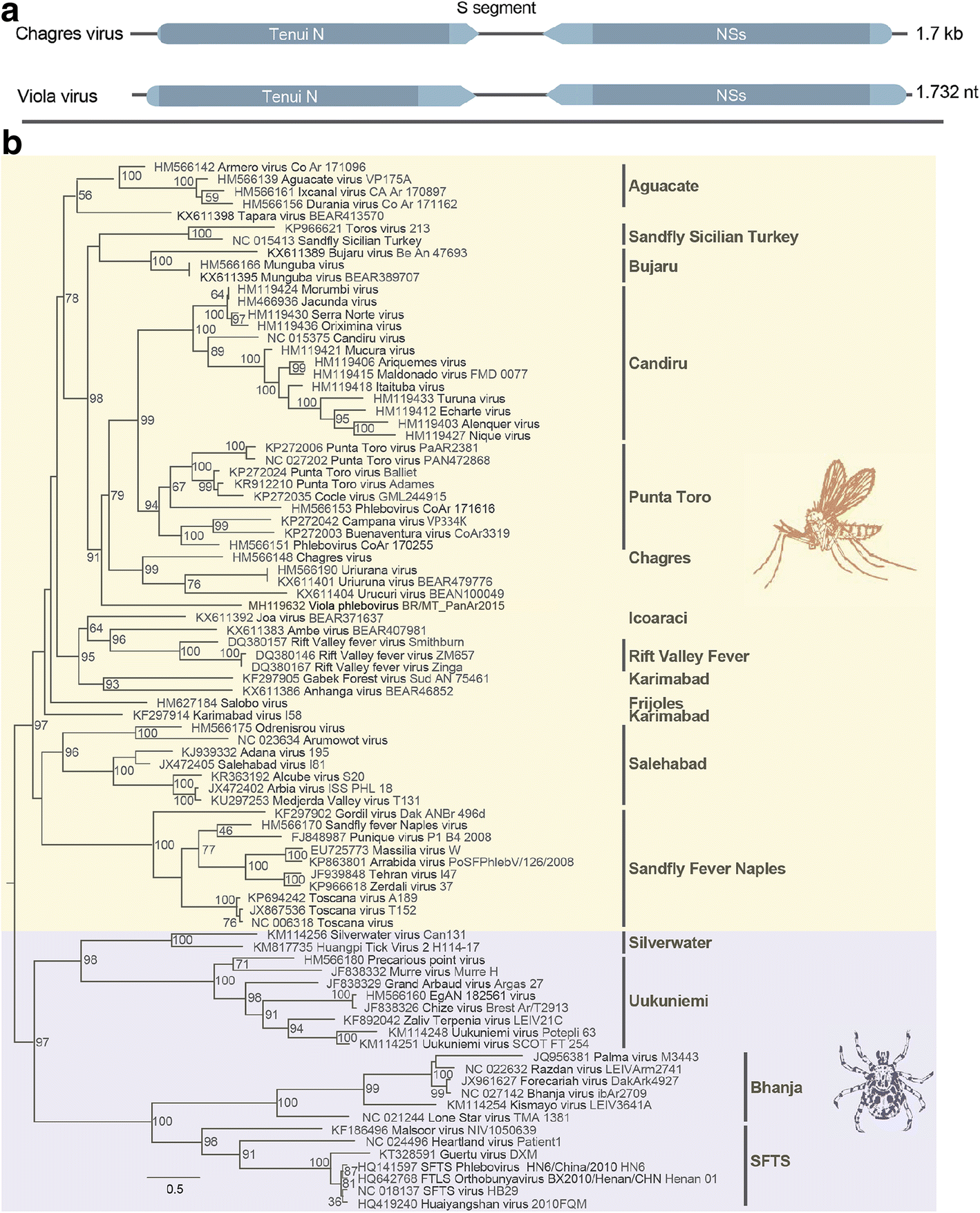 Fig. 5