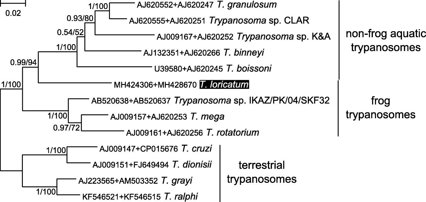 Fig. 4